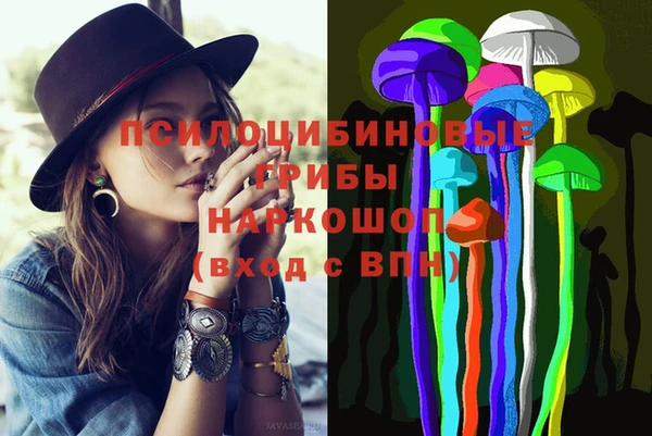 шишки Вязники